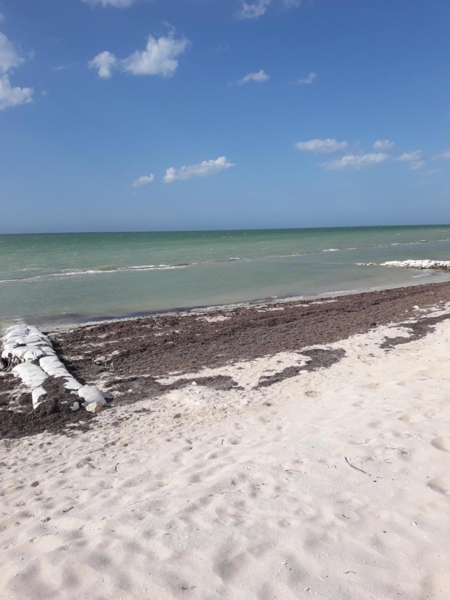 Casa Pepe Vacation Rental Progreso بروغريسو المظهر الخارجي الصورة